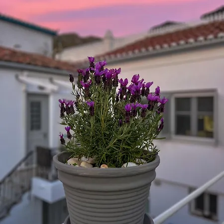 Apartment Pearl House Hydra (Saronic Islands)